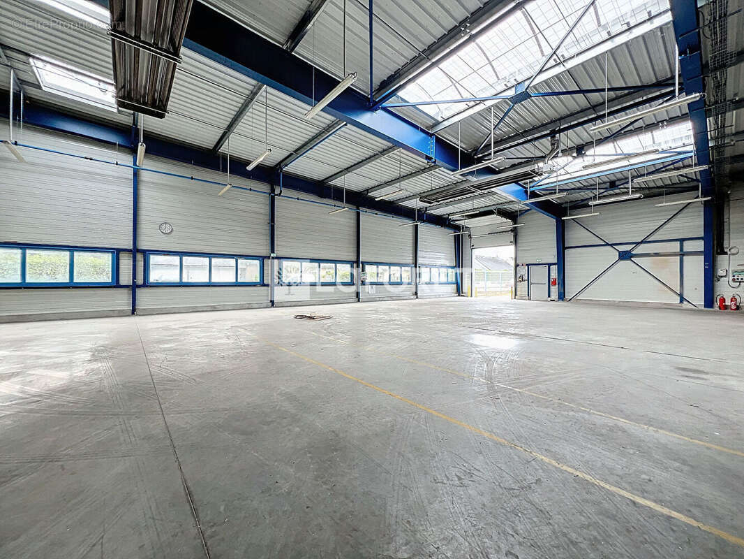 Commerce à LE PUY-NOTRE-DAME