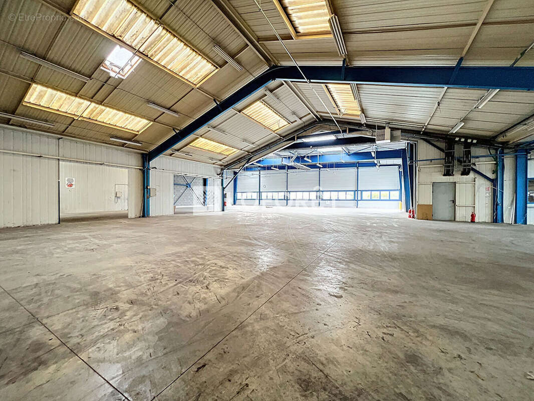 Commerce à LE PUY-NOTRE-DAME