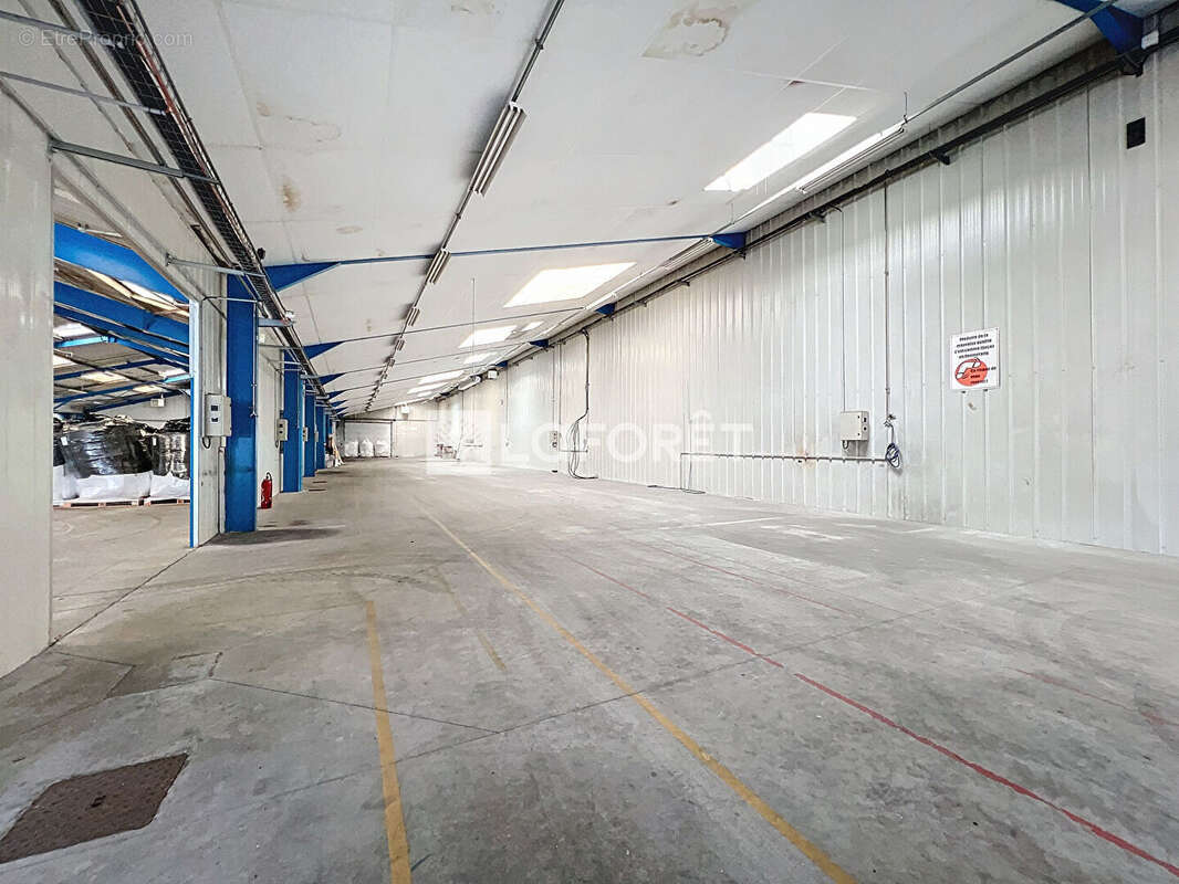 Commerce à LE PUY-NOTRE-DAME