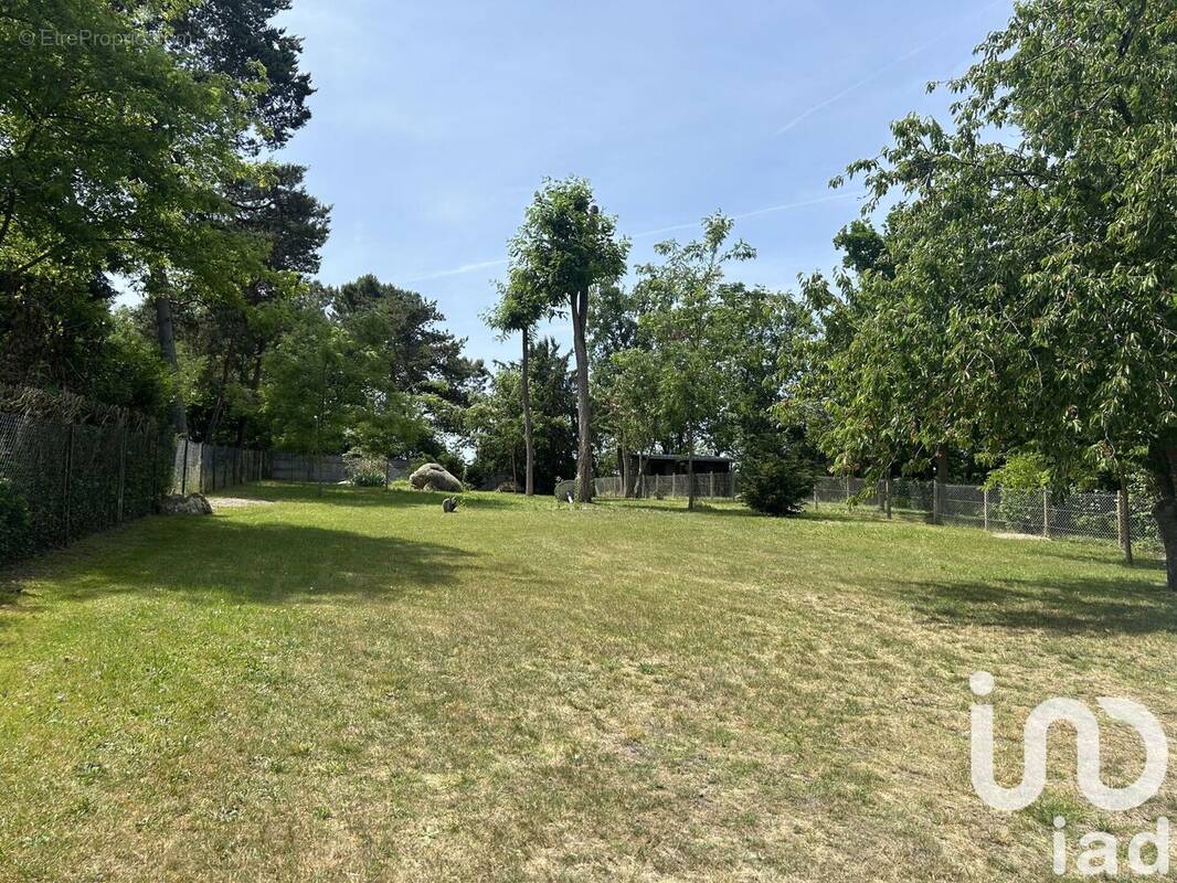 Photo 1 - Terrain à MAISSE