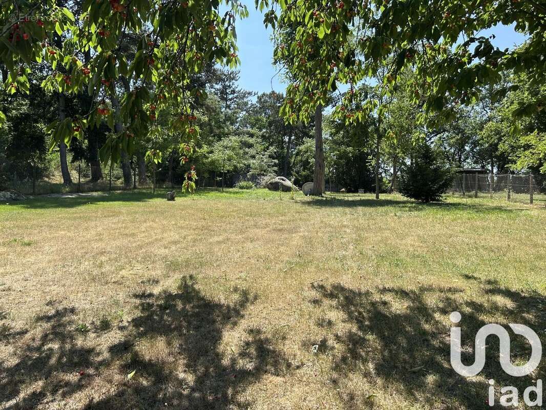 Photo 3 - Terrain à MAISSE