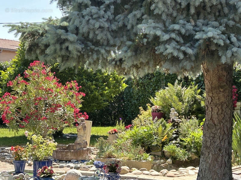 Maison à ARS-SUR-FORMANS