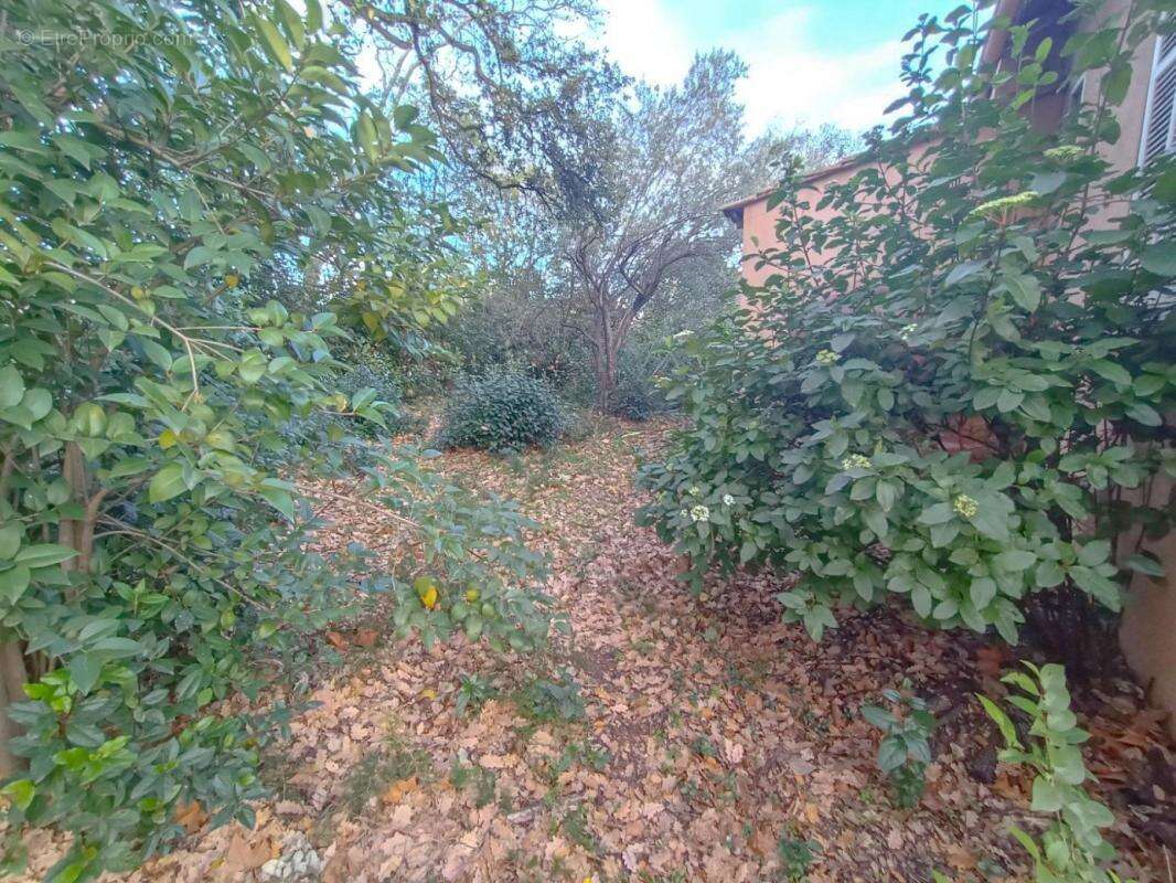 Maison à LE CANNET-DES-MAURES