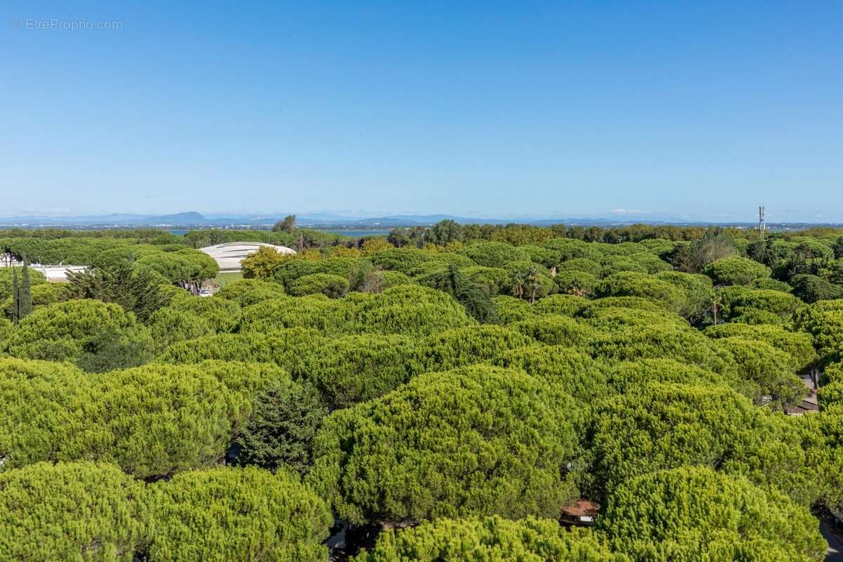 Appartement à LA GRANDE-MOTTE