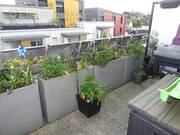 Appartement à LIMEIL-BREVANNES