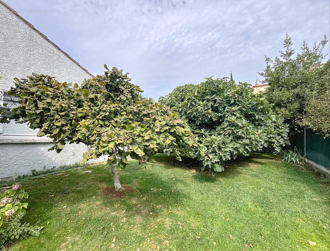 Maison à MONTPELLIER