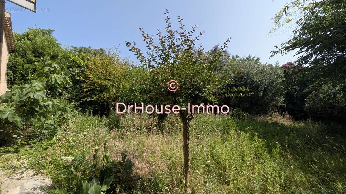 Maison à MONTPELLIER