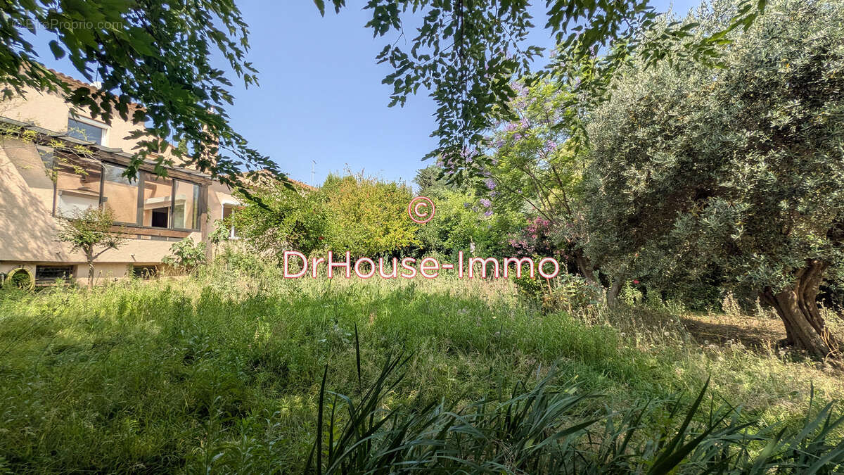 Maison à MONTPELLIER