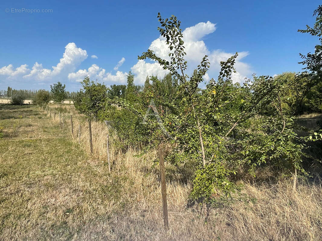 Maison à LA TAILLEE
