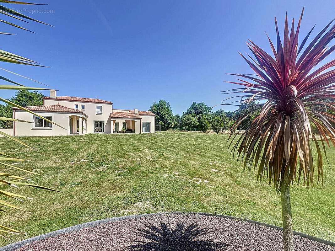 Maison à BELLEVILLE-SUR-VIE