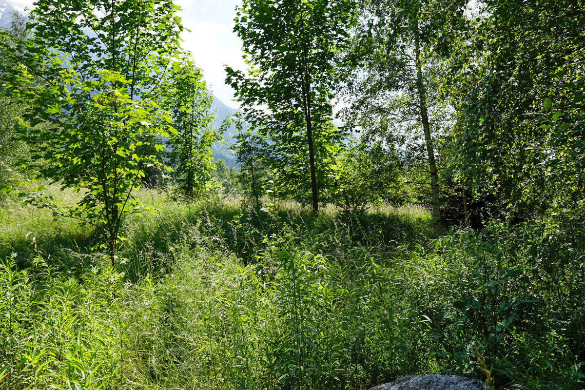 Terrain à LES HOUCHES