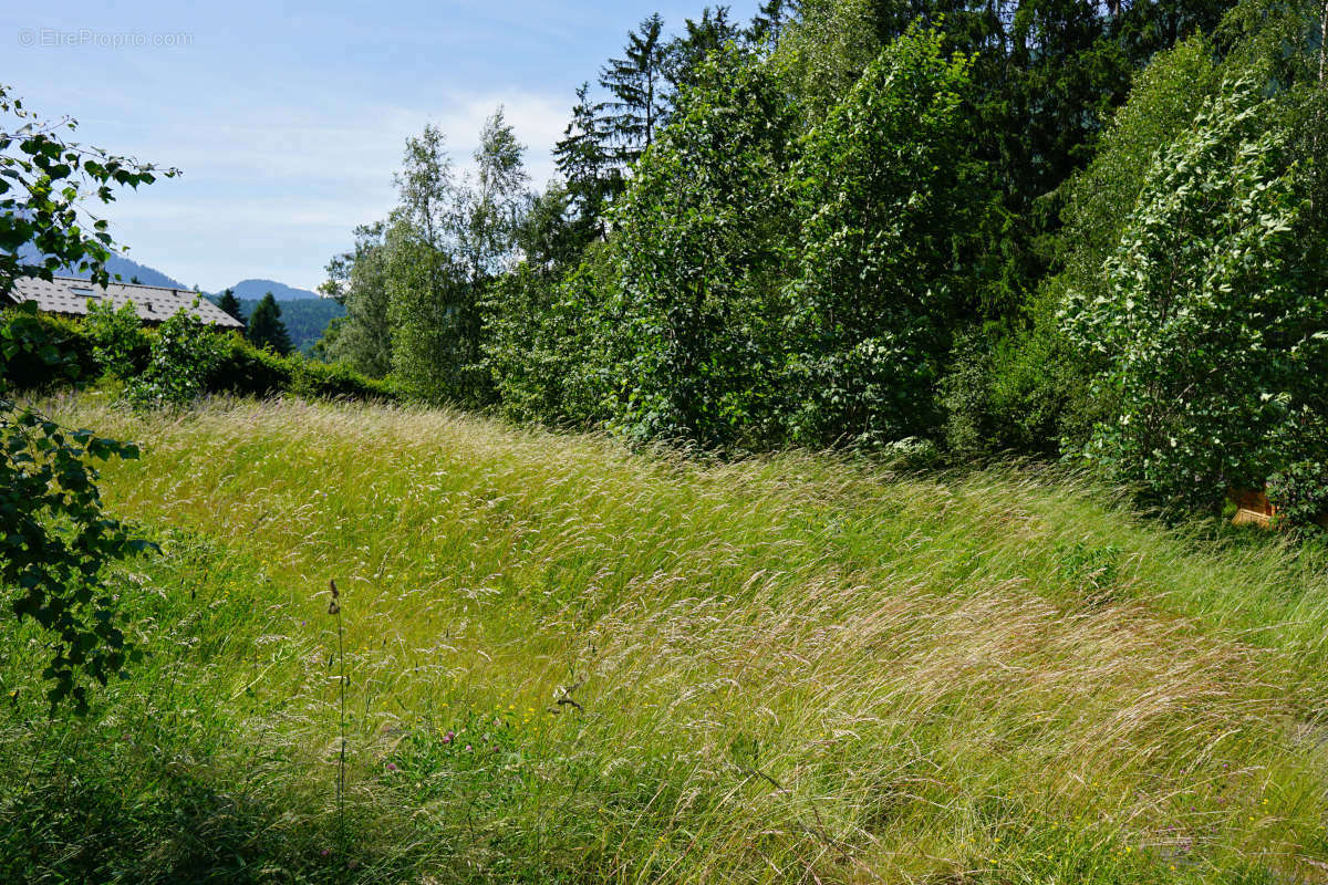 Terrain à LES HOUCHES