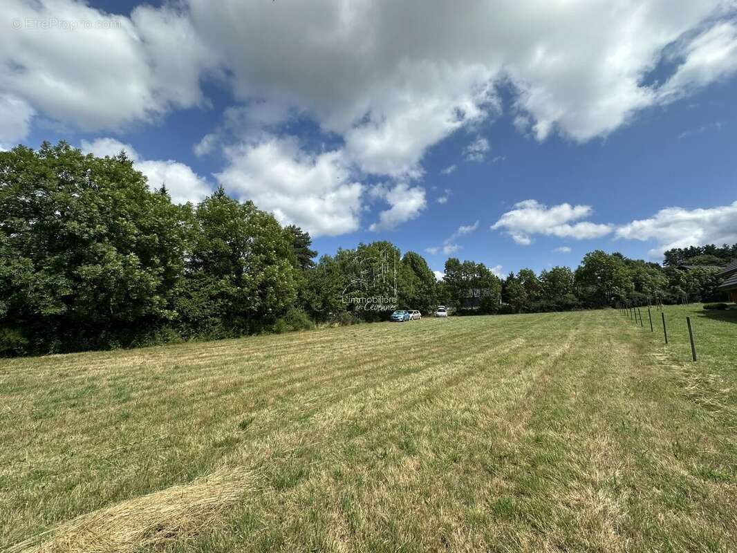 Terrain à DOURBIES