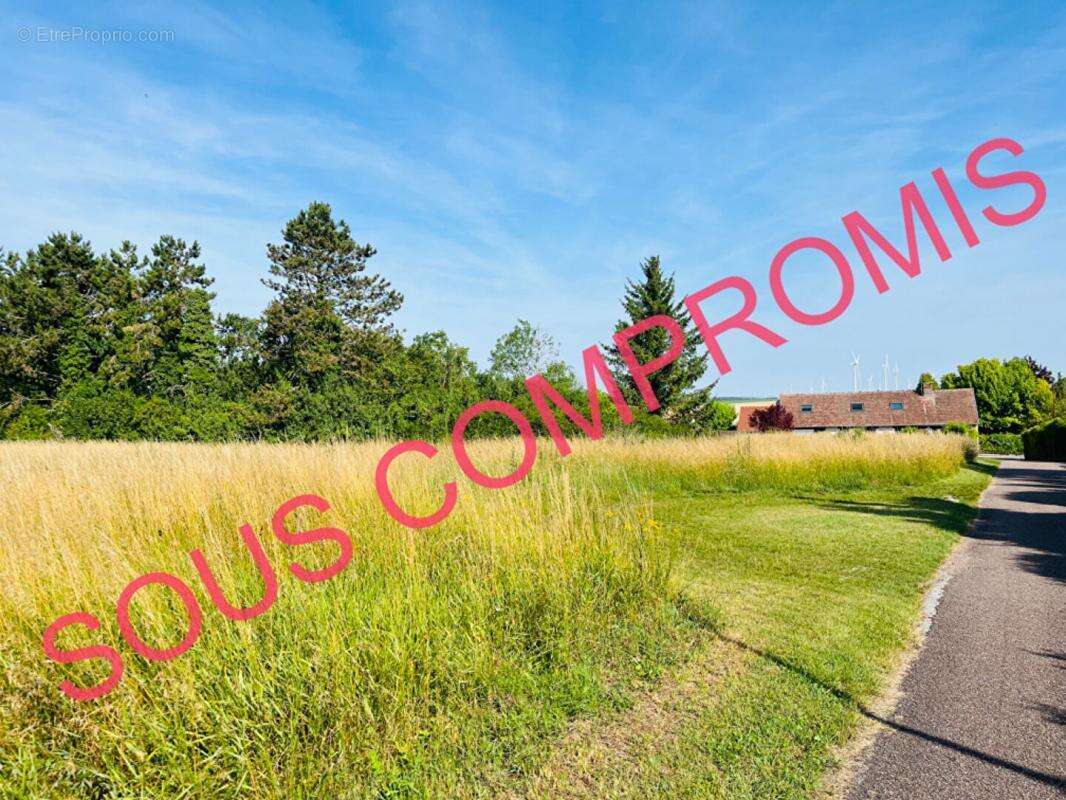 Terrain à LES GRANDES-CHAPELLES