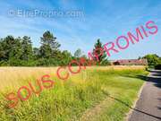 Terrain à LES GRANDES-CHAPELLES