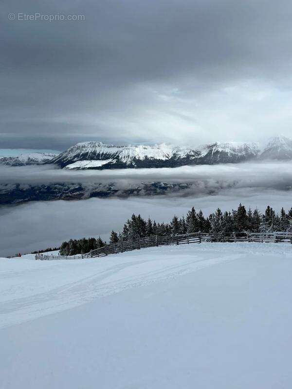 Appartement à SELONNET