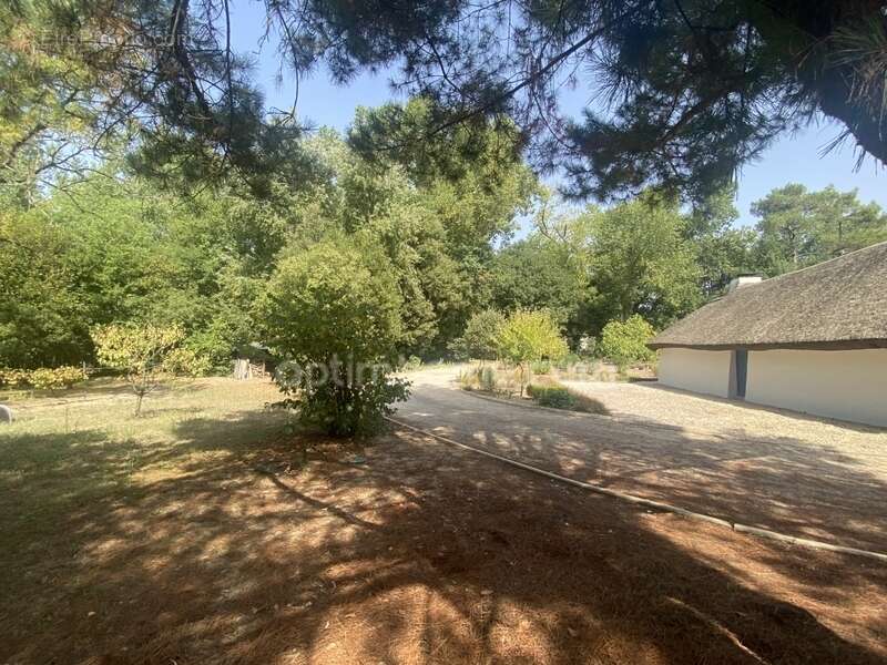 Maison à SAINT-HILAIRE-DE-RIEZ