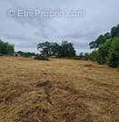 Terrain à SAINT-MEDARD-DE-GUIZIERES
