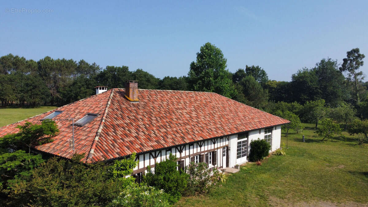 Photo 2 - Maison à SAINT-VINCENT-DE-TYROSSE