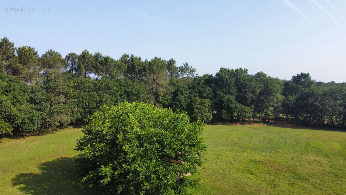 Photo 4 - Maison à SAINT-VINCENT-DE-TYROSSE