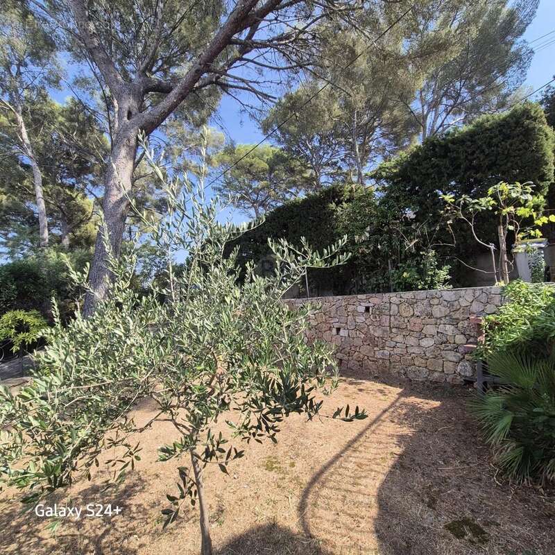 Maison à LES ISSAMBRES