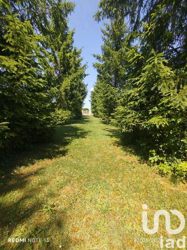 Photo 2 - Terrain à VILLERMAIN