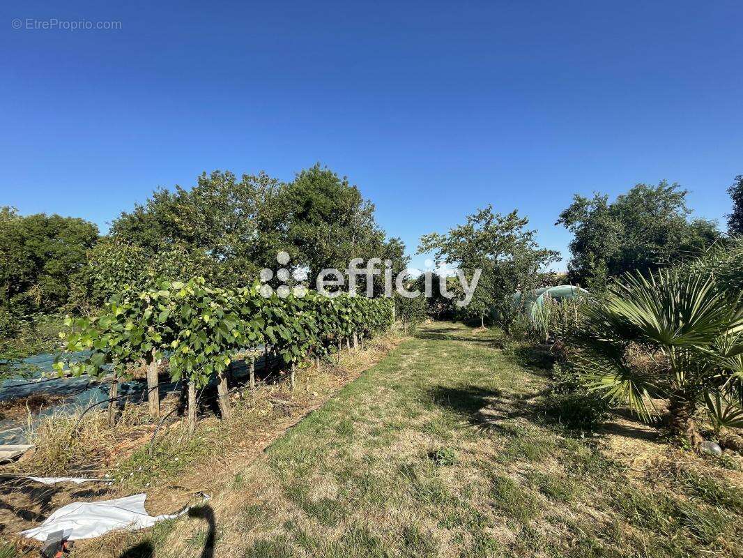 Maison à AUGE-SAINT-MEDARD