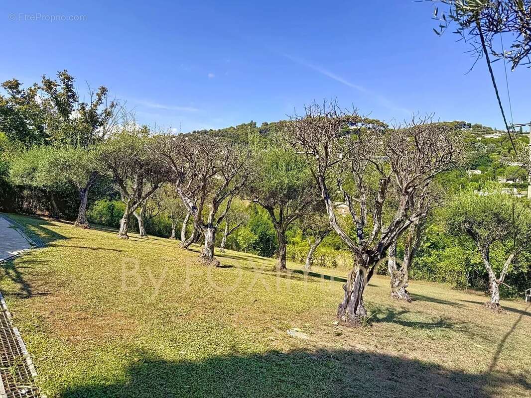 Maison à SAINT-PAUL