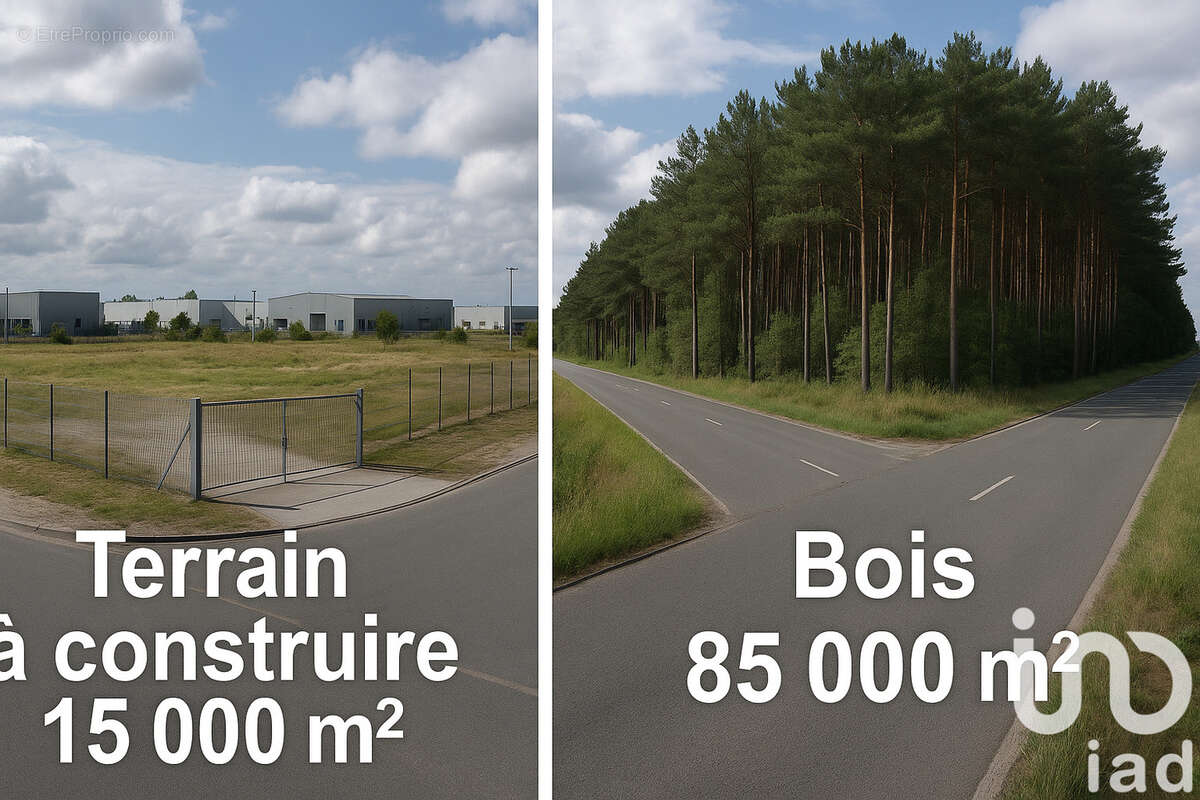 Photo 2 - Terrain à LA LOUPE