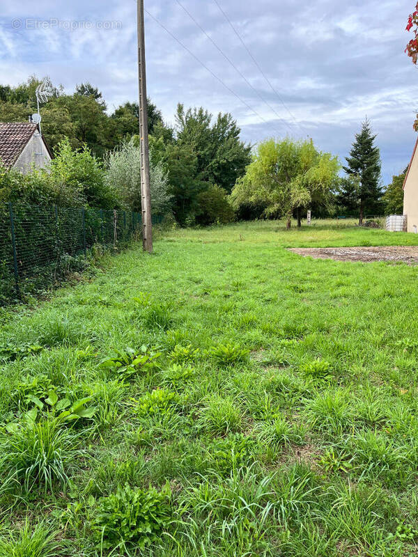 Terrain à SULLY-LA-CHAPELLE