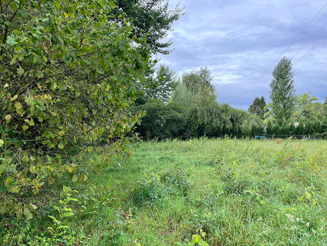 Terrain à SULLY-LA-CHAPELLE