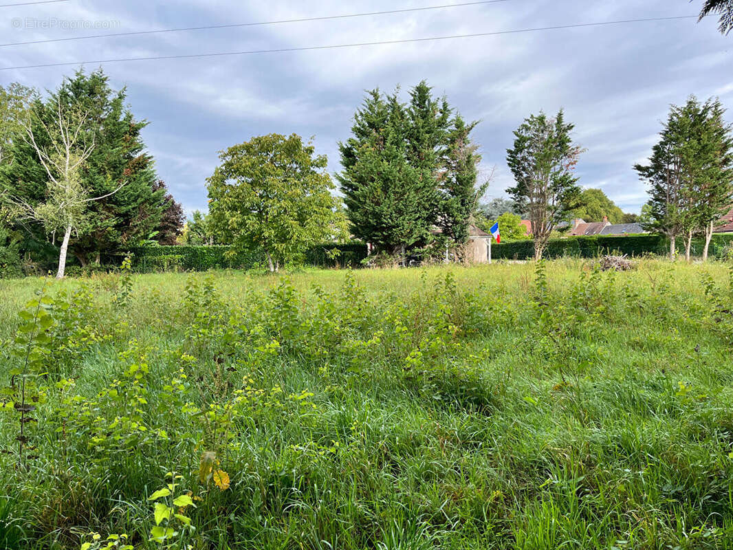 Terrain à SULLY-LA-CHAPELLE
