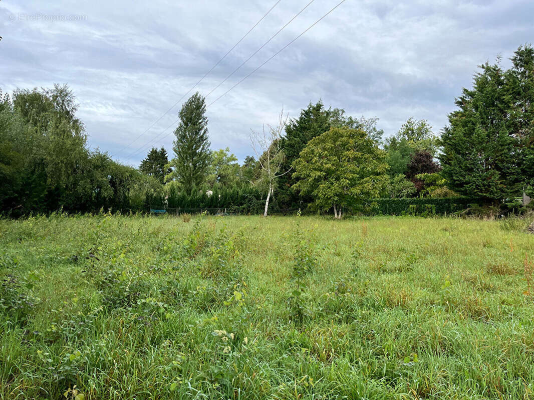 Terrain à SULLY-LA-CHAPELLE