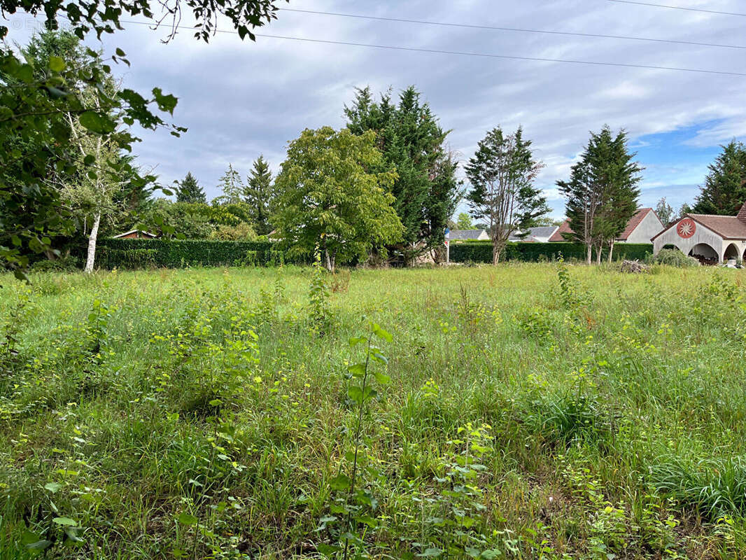 Terrain à SULLY-LA-CHAPELLE