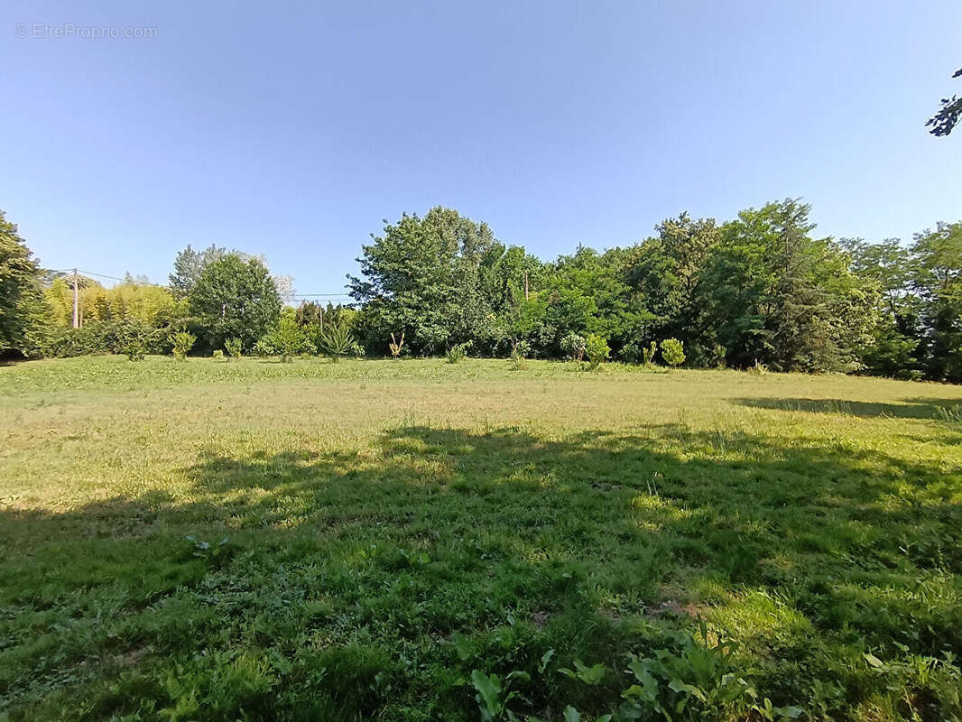 Maison à CASTELSARRASIN