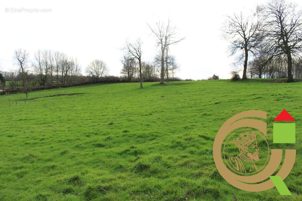 Terrain à WICQUINGHEM