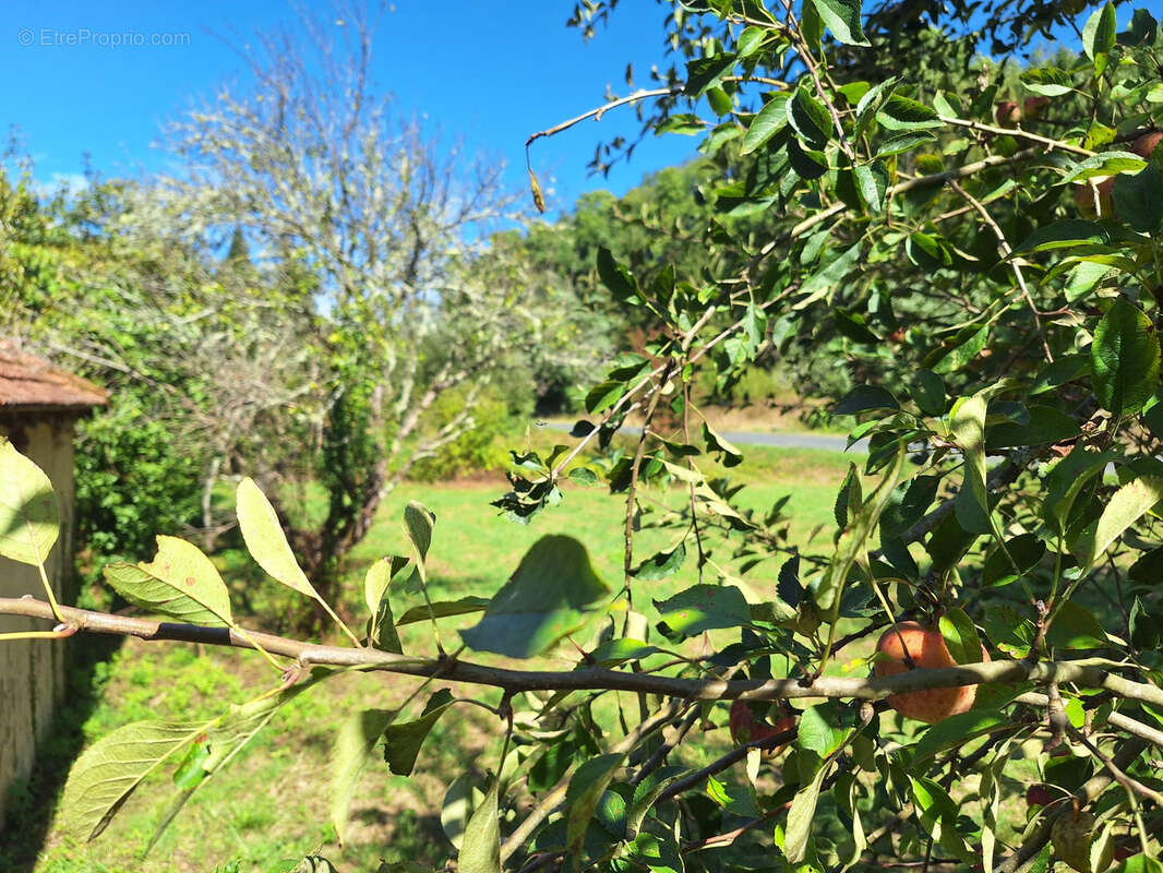 Maison à SAINT-CERNIN-DE-L&#039;HERM