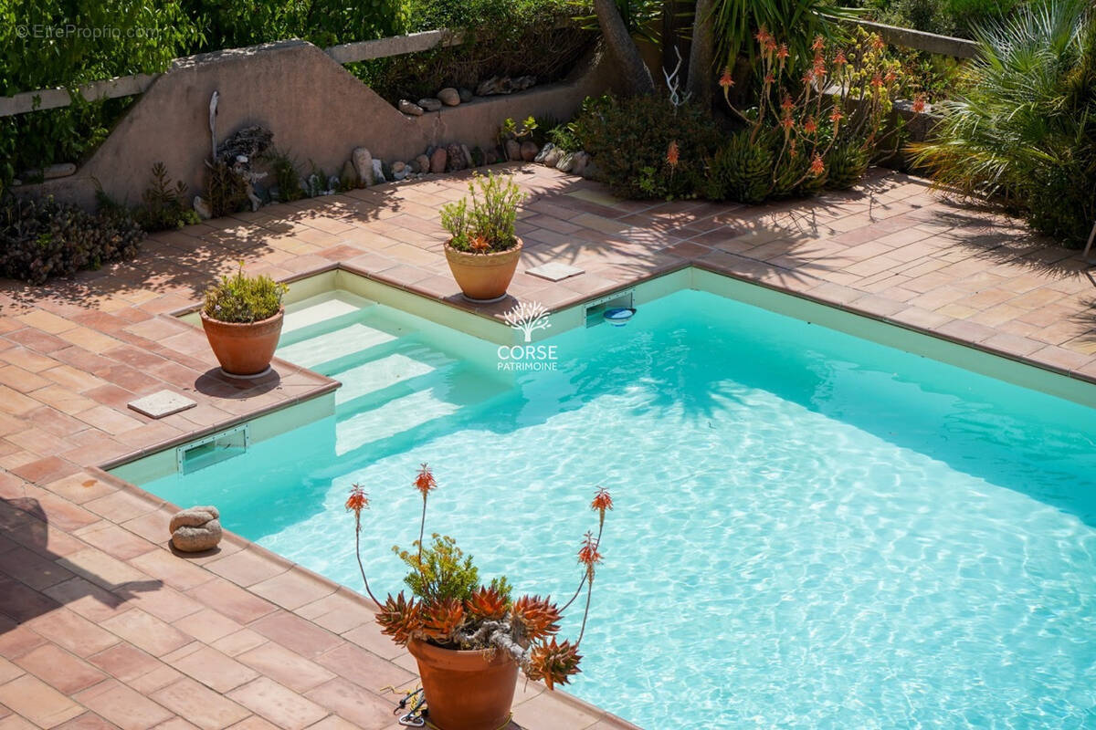 Maison à PORTO-VECCHIO