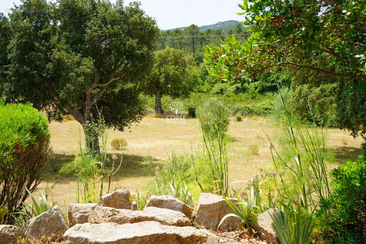 Maison à PORTO-VECCHIO