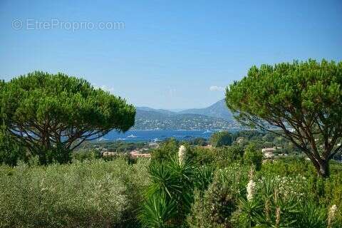 Maison à RAMATUELLE