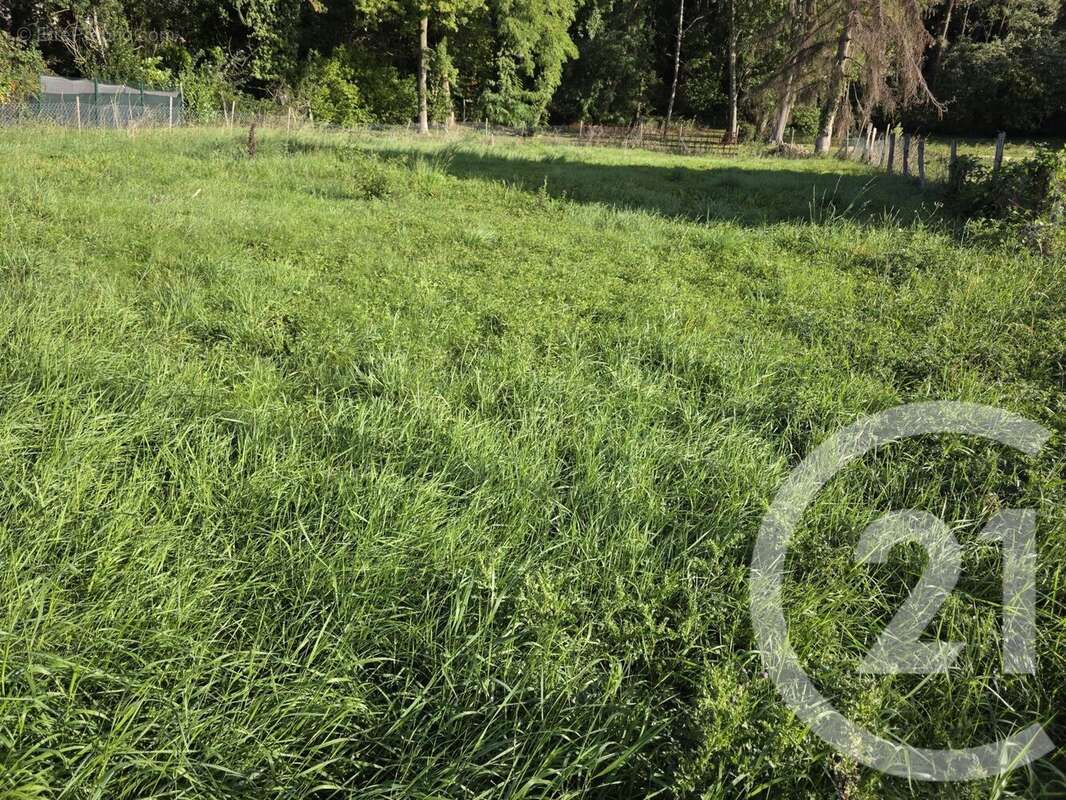 Terrain à MONTGE-EN-GOELE