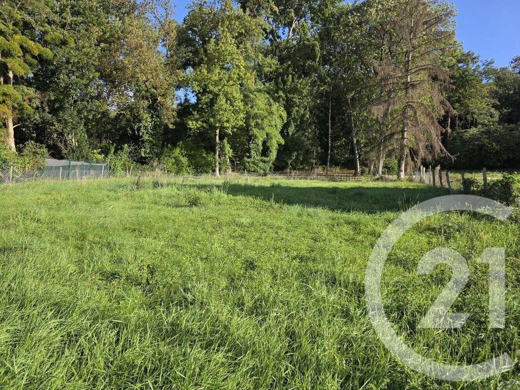 Terrain à MONTGE-EN-GOELE