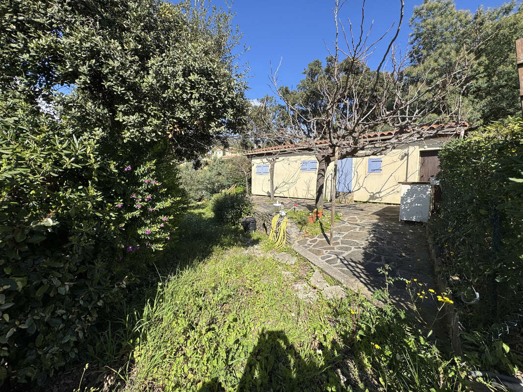 Terrain à BORMES-LES-MIMOSAS