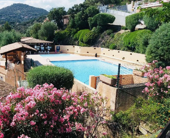 Terrain à BORMES-LES-MIMOSAS