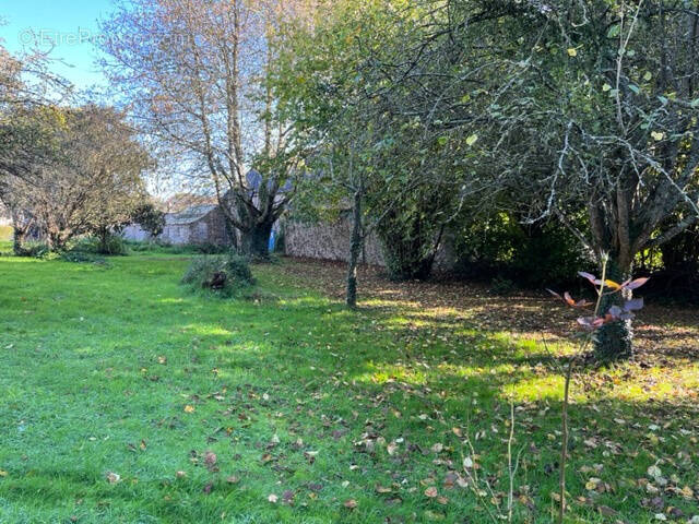 Terrain à PLEURTUIT