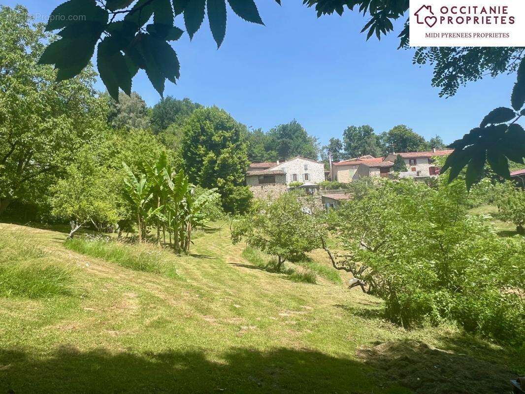 Maison à SAINT-PIERRE-DE-RIVIERE