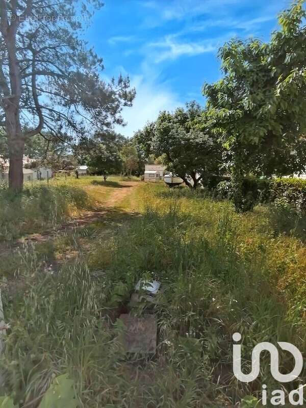 Photo 2 - Terrain à LA PLAINE-SUR-MER