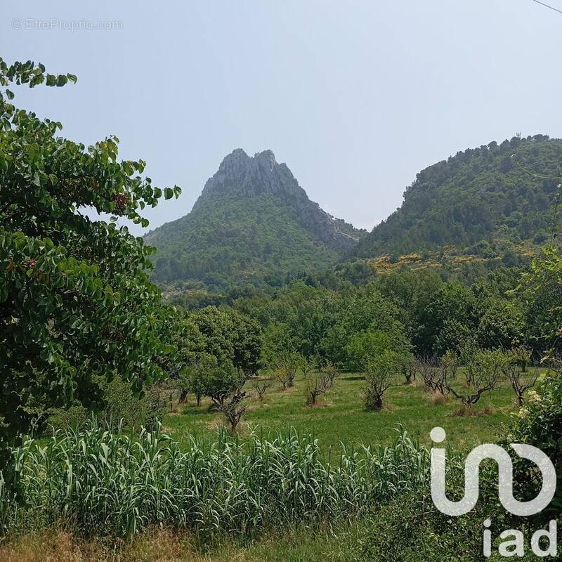 Photo 1 - Terrain à BUIS-LES-BARONNIES