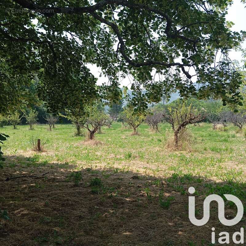 Photo 2 - Terrain à BUIS-LES-BARONNIES