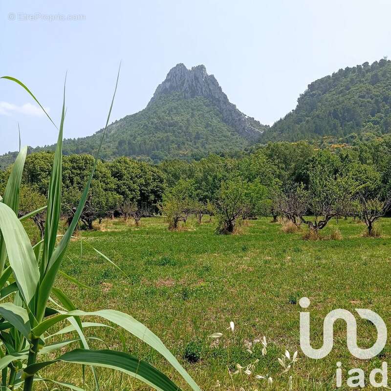 Photo 3 - Terrain à BUIS-LES-BARONNIES